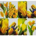 Water Transfer Stickers 50